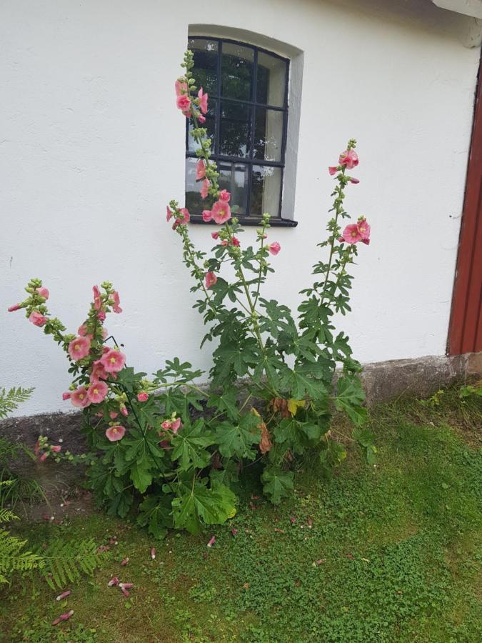4B Oesterlen Bed & Breakfast Tomelilla Exterior foto